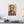 Canvas wall art with a bold burgundy and beige illustration of ancient Greek playwright Sophocles on a white wall above a desk