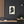 Canvas wall art with a black on ivory silhouette illustration of musician Joseph Haydn on a dark wall with a wooden shelf and plant in the foreground