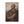 Canvas wall art with a beautiful, original illustration of Roman emperor Vespasian
