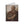 Spiral notebook with a beautiful, original illustration of Roman emperor Vespasian
opened